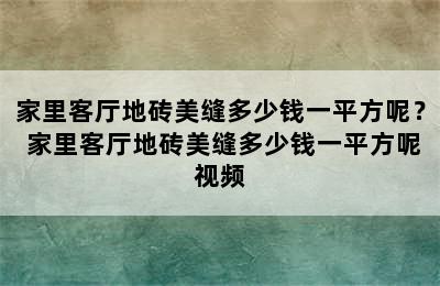 家里客厅地砖美缝多少钱一平方呢？ 家里客厅地砖美缝多少钱一平方呢视频